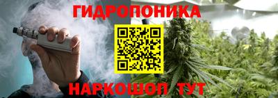 соль ск Кулебаки