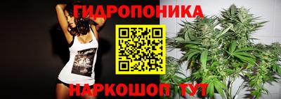 соль ск Кулебаки