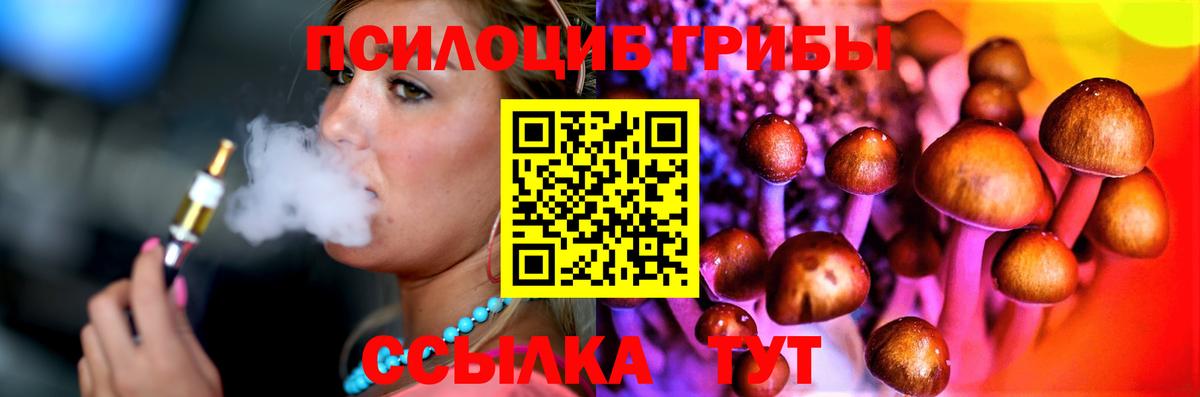 что такое наркотик  Галлюциногенные грибы мицелий  Бузулук  Вход с VPN  Псилоцибиновые грибы Psilocybe 